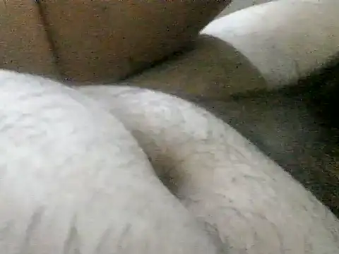 LuispingonX69 online show from 06-17-26, 09:47