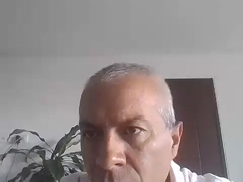 Snapshot of ALFRERM chatting on 10-12-25, 07:37 ALFRERM online show from 10-12-25, 07:37