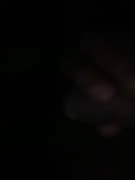 Snapshot of Flash356 chatting on 02-24-26, 09:04 Flash356 online show from 02-24-26, 09:04