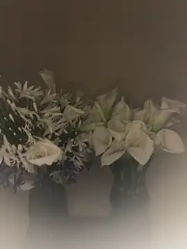 SLNatasha online show from 03-01-26, 03:06