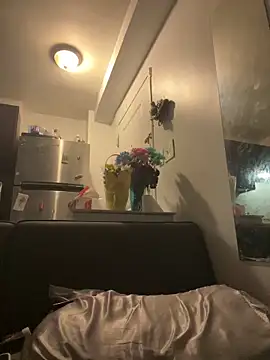 littyleesh1 online show from 04-15-26, 07:25