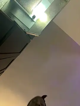 littyleesh1 online show from 03-22-26, 01:12