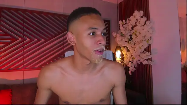 B Wild online show from 10-04-25, 04:47