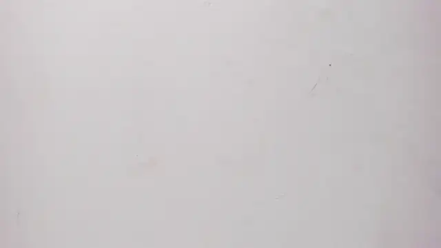 Snapshot of Sofia_summers chatting on 11-25-25, 03:40 Sofia summers online show from 11-25-25, 03:40