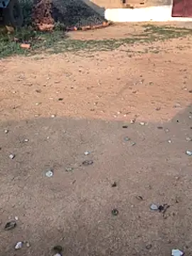 Ag punam online show from 02-10-26, 02:10