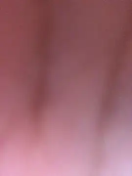 luzmelzinha online show from 04-02-26, 01:57