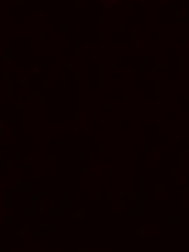 luzmelzinha online show from 11-23-25, 05:39