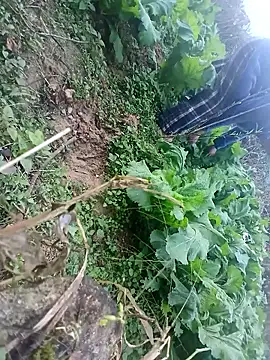 kemtuoi-sex online show from 01-17-26, 10:30