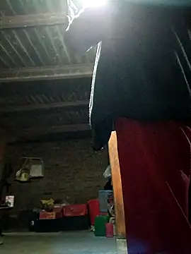 kemtuoi-sex online show from 11-03-25, 01:58