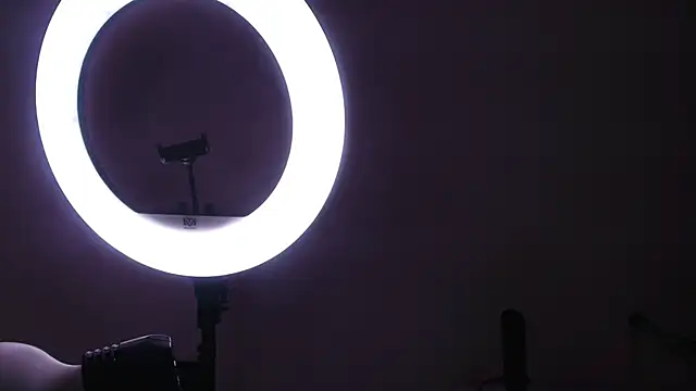 abbyrouss  online show from 11-29-25, 03:06