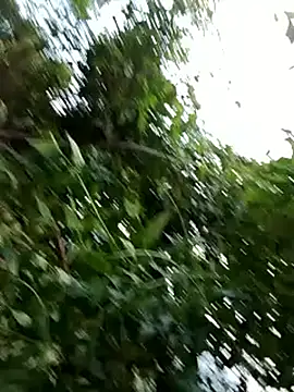 -Xuka-200 online show from 10-20-25, 09:54