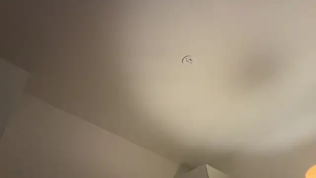 Swedishfish69 online show from 02-08-26, 04:37