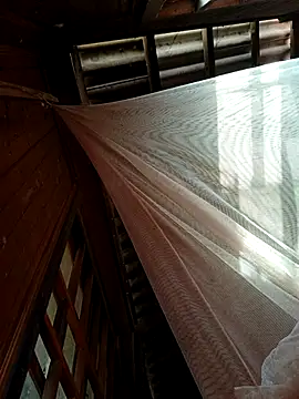 Snapshot of kata-00 chatting on 01-18-26, 05:44 kata-00 online show from 01-18-26, 05:44