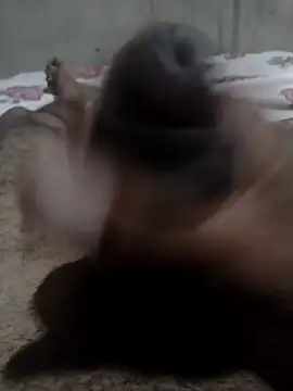 Tc777fun online show from 11-22-25, 11:47