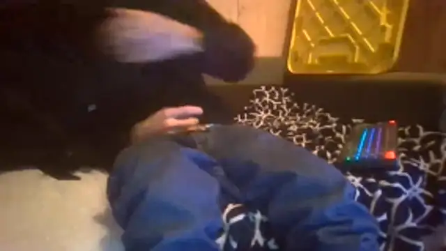 Sillycatfish online show from 12-20-25, 09:56