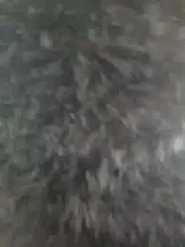 susan mooree online show from 10-01-25, 07:18