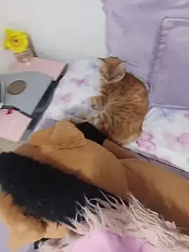 sweetdubros2 online show from 03-08-26, 03:43