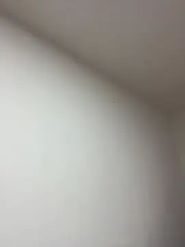 Anabelle 00  online show from 03-22-26, 03:21