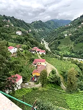 LAZ3R1 online show from 10-02-25, 10:29