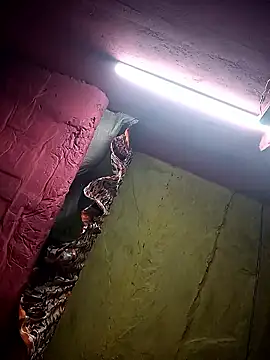 Suman ji1 online show from 01-11-26, 12:17