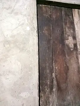 Snapshot of riso-00 chatting on 03-30-26, 11:44 riso-00 online show from 03-30-26, 11:44