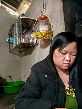 riso-00 online show from 01-09-26, 06:53