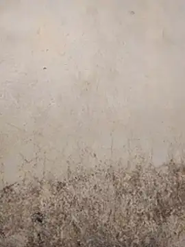 SSexykute3456 online show from 12-23-25, 06:23