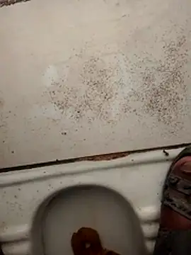 haryanaboypanipat12 online show from 03-17-26, 01:19