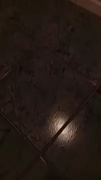 dani0069 online show from 01-11-26, 06:31