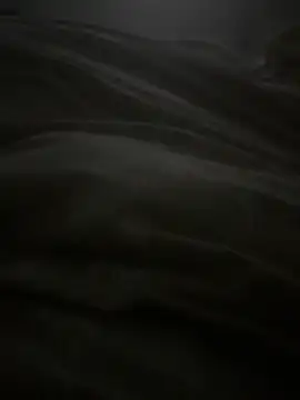 dlasian2026 online show from 11-04-25, 04:55