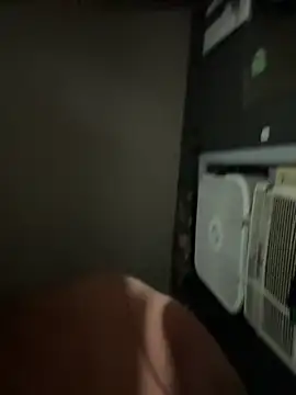 busnfatnutsLildee online show from 11-04-25, 01:48