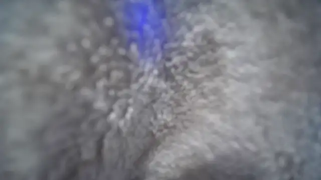 jasoncali305 online show from 11-20-25, 07:03