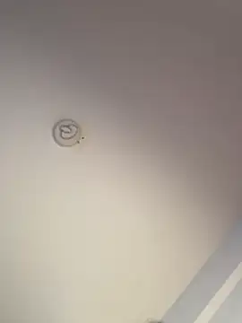 Andrestarr online show from 03-19-26, 02:28