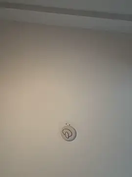 Andrestarr online show from 02-08-26, 11:30