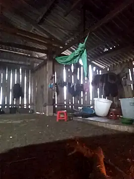 bonnie-00 online show from 01-06-26, 12:14