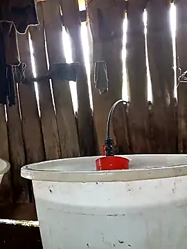 bonnie-00 online show from 04-15-26, 05:35