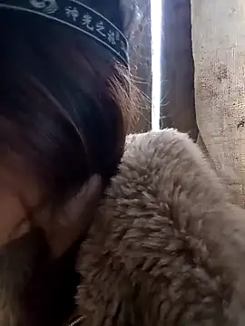 bonnie-00 online show from 12-14-25, 09:04