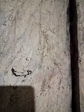 bonnie-00 online show from 11-06-25, 10:58