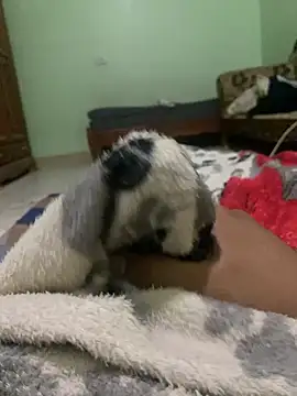 ali  ali210 online show from 10-03-25, 01:23