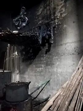 Dung x online show from 03-28-26, 01:01