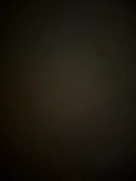 SienaWild online show from 01-11-26, 04:08