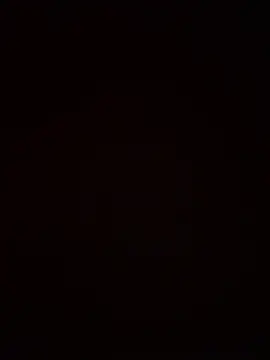 SienaWild online show from 01-09-26, 08:38