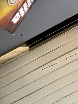 SienaWild online show from 12-01-25, 03:18