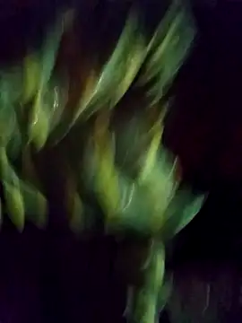 Saloni-Gupta online show from 09-22-25, 03:40