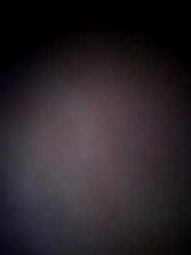 thehotlady online show from 10-24-25, 08:46