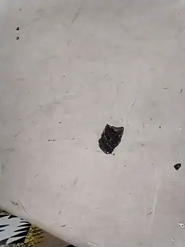 Rapunzal online show from 03-23-26, 06:08