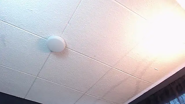 RichardMilleer online show from 02-16-26, 01:43