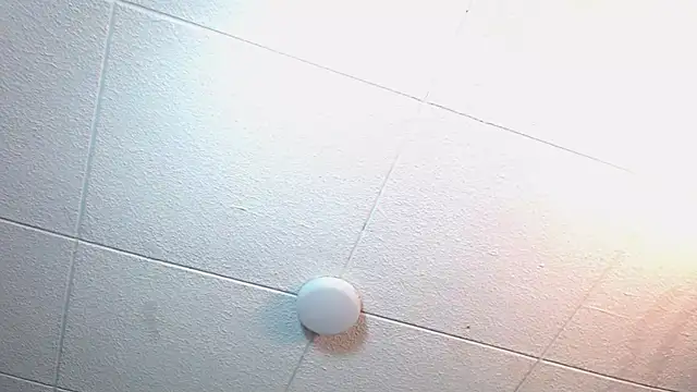 RichardMilleer online show from 11-12-25, 02:21