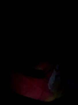 Rosabela04 online show from 02-12-26, 08:03