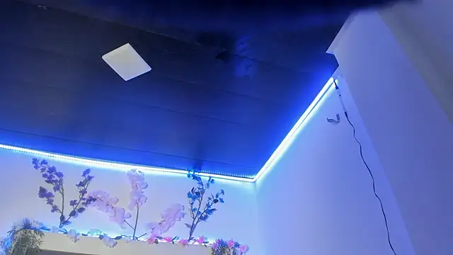 abbiecollins js online show from 03-25-26, 04:45